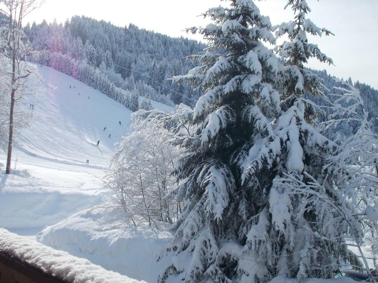 Chalet Jonquille Les Gets Exteriör bild