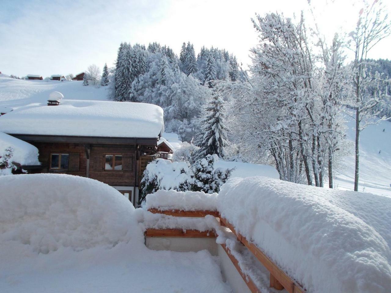 Chalet Jonquille Les Gets Exteriör bild