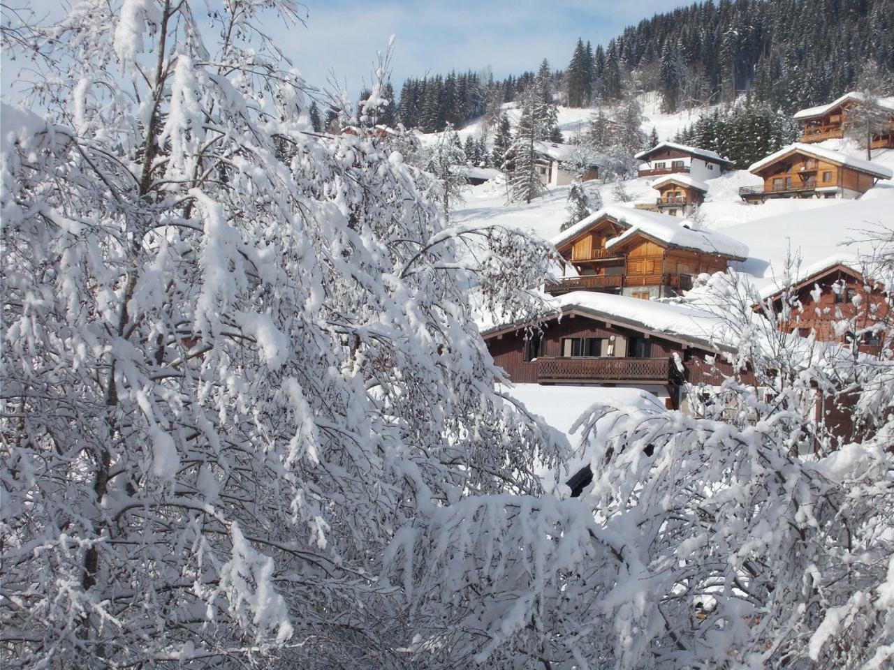 Chalet Jonquille Les Gets Exteriör bild